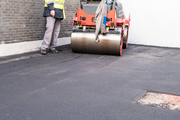 Best Driveway Border and Edging  in Marion, MT